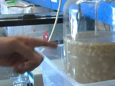 10 việc làm cứu cả thế giới của Bill Gates