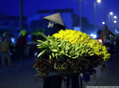 hoa ha noi 1 Hồn hoa trong lòng phố Hà Nội