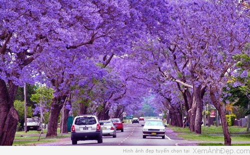 đường xá trên toàn thế giới 4