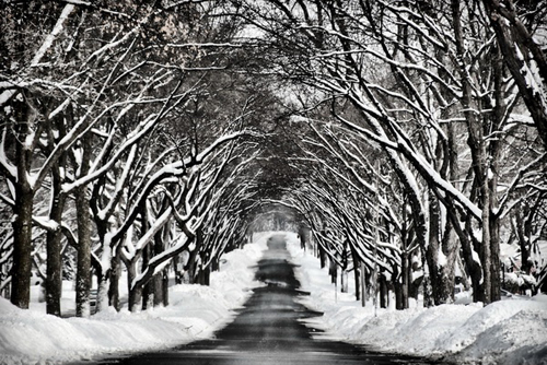 đường xá trên toàn thế giới 8