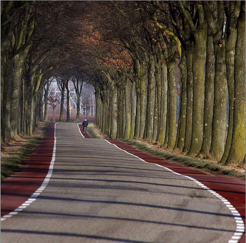 đường xá trên toàn thế giới 13