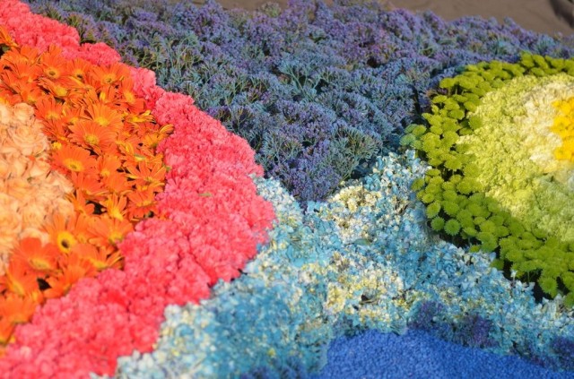 Hong Kong Flower Show 2013