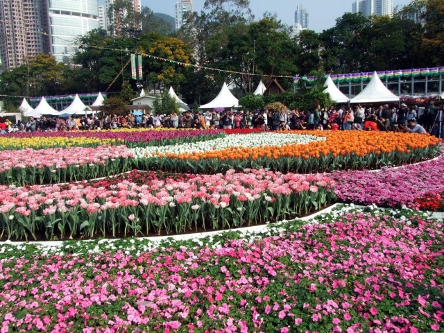 Hong Kong Flower Show 2013