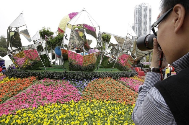 Hong Kong Flower Show 2013