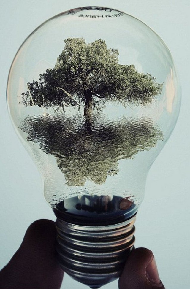 Magical Light Bulbs By Adrian Limani