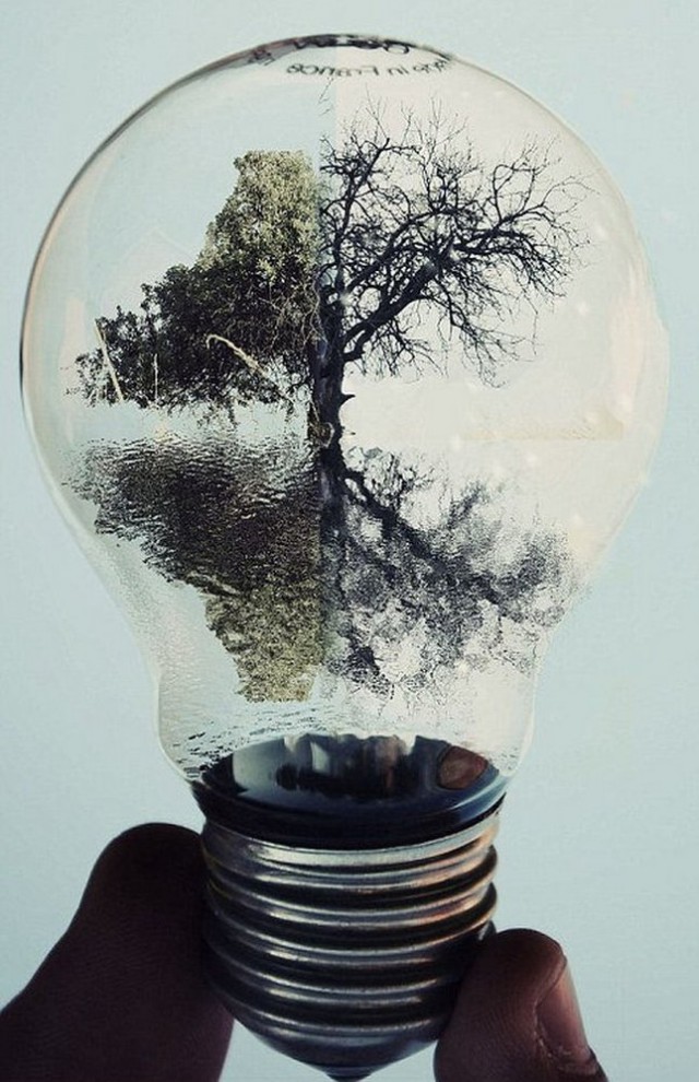 Magical Light Bulbs By Adrian Limani