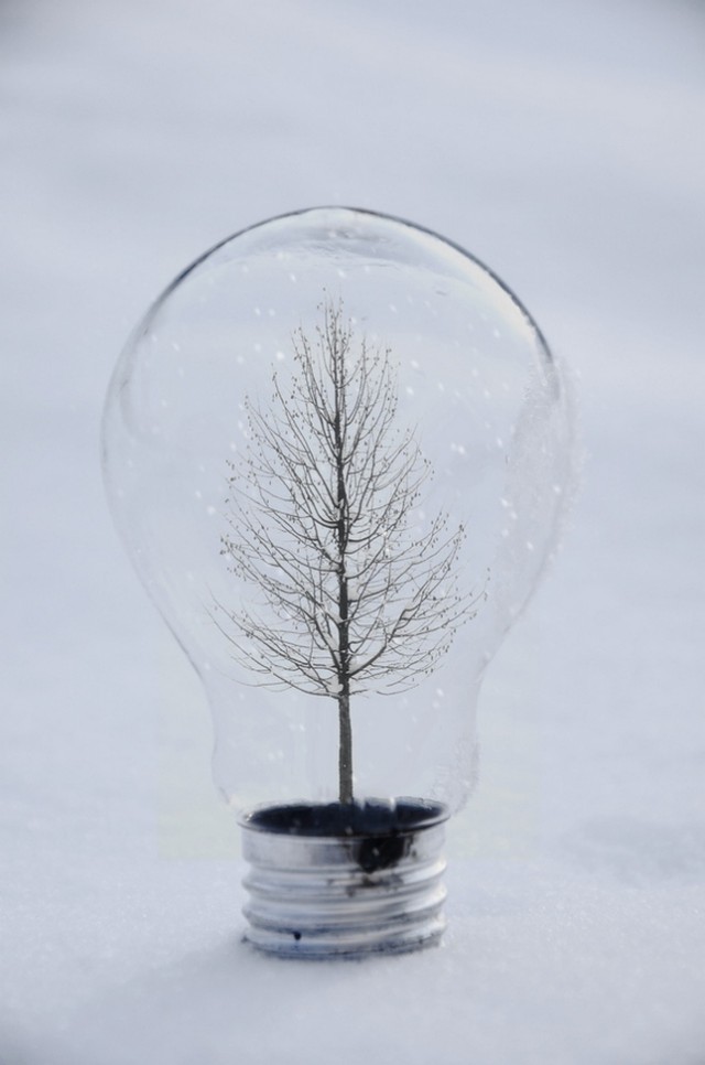 Magical Light Bulbs By Adrian Limani