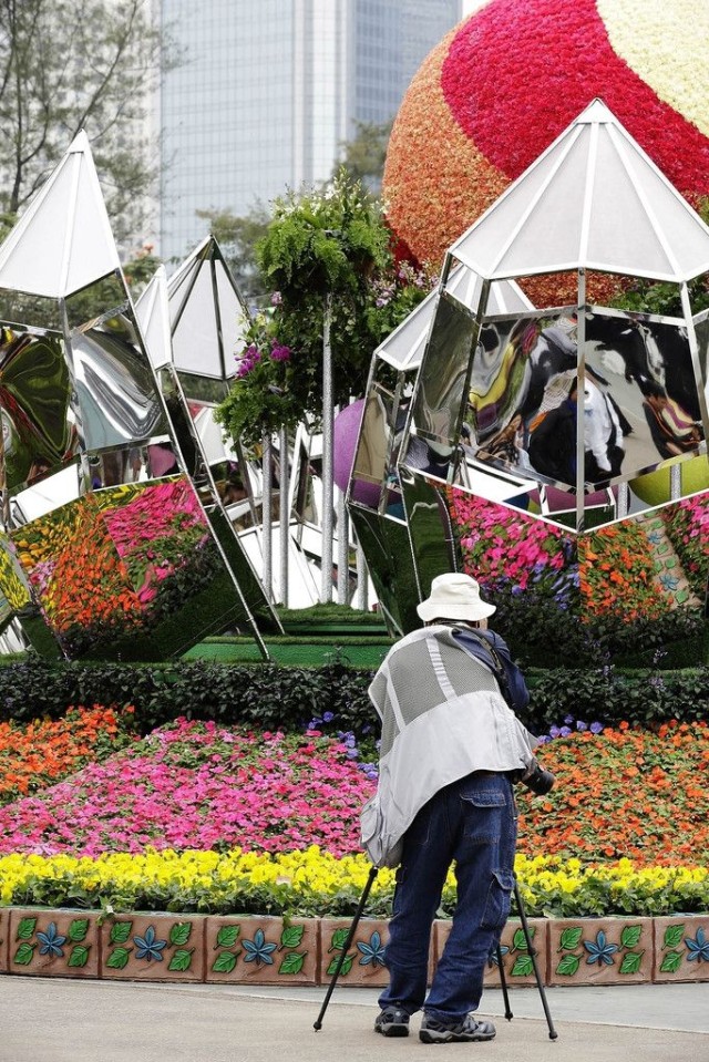 Hong Kong Flower Show 2013