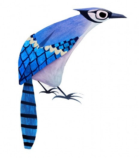 Ó tai, một loài chim săn mồi thuộc họ chim ưng.