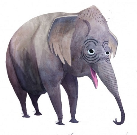 Một chú chim cắt.