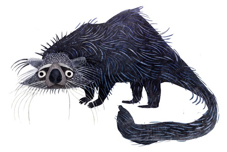 Một chú chim cắt.