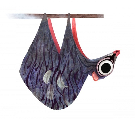 Một chú chim cắt.