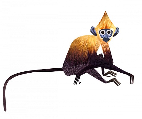 Một chú chim cắt.