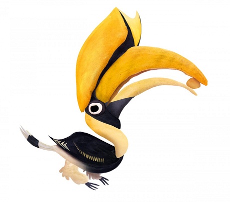 Một chú chim cắt.