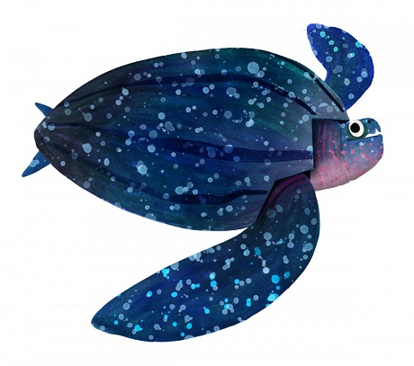 Một chú chim cắt.