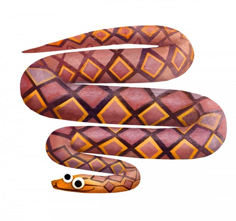 Một chú chim cắt.