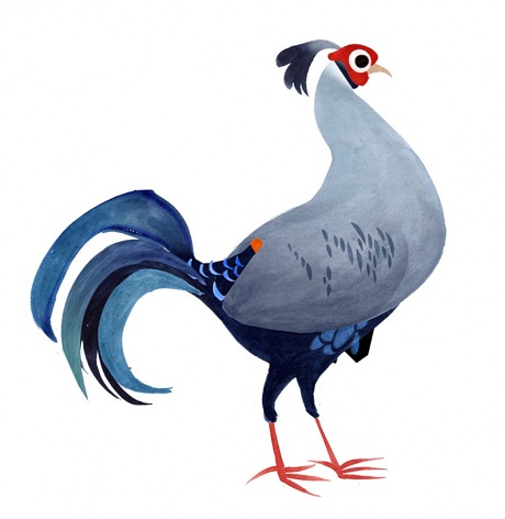 Một chú gà lôi hồng tía.