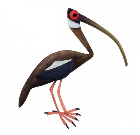 Hổ Đông Dương.