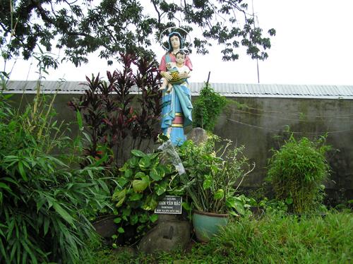 P9160007.JPG - OLYMPUS DIGITAL CAMERA