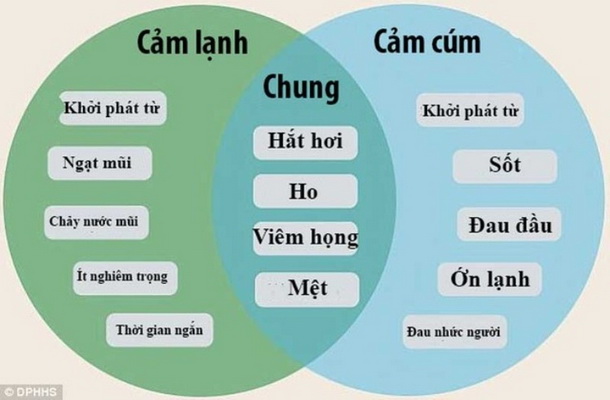 Triệu chứng của cảm lạnh.