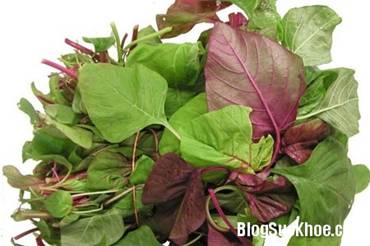 1171 Rau dền chữa bệnh