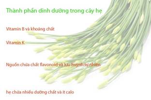 cayhe Đ�y ch�nh l� l� do m� bạn n�n ăn rau hẹ thường xuy�n