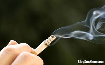 tinngan 084527 283520738 4 Những th�i quen ngầm ph� hủy cơ thể bạn: Dừng ngay nếu kh�ng muốn đ�nh đổi tuổi thọ