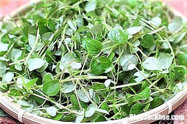 ban hoan toan co the hoa giai chung dau dau bang thuc pham quen thuoc nay4 2019 04 01 15 03 3 m�n ăn chữa đau đầu ngay lập tức an to�n hơn d�ng thuốc