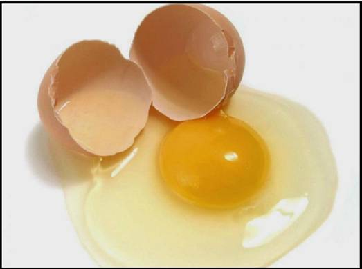 Chữa bỏng bằng l�ng trắng trứng