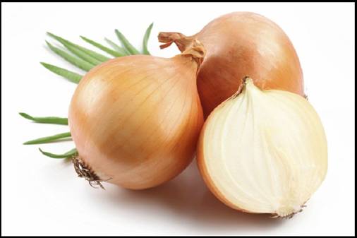 Chữa bỏng bằng h�nh t�y