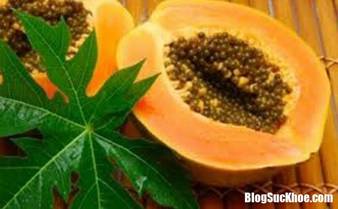 la du du 1 Những b�i thuốc qu� chữa bệnh từ l� đu đủ