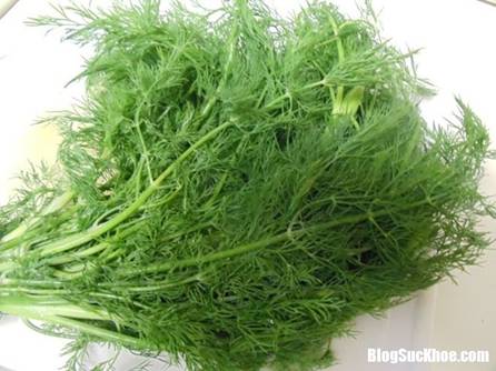 thi la loai rau gia vi danh tan doc to trong co the  Những lợi �ch sức khỏe khi ăn rau th� l�