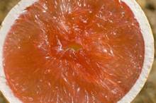 Những thực phẩm đơn giản chống ung thư gan 1