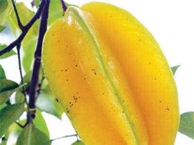 Thực phẩm ăn quá hóa hại 1