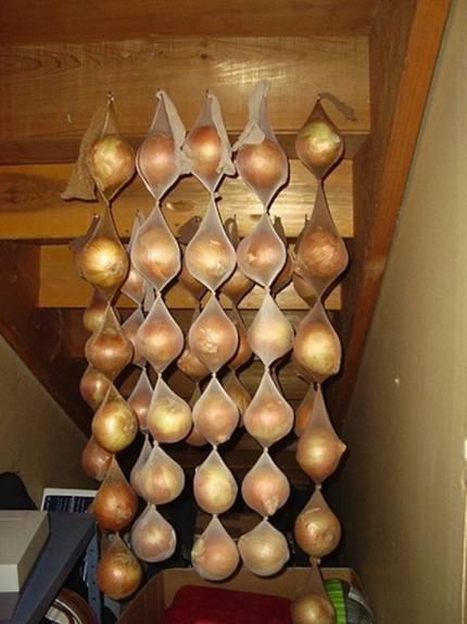 Mẹo bảo quản rau quả đơn giản, hữu ích 1