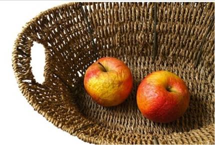 Mẹo bảo quản rau quả đơn giản, hữu ích 4