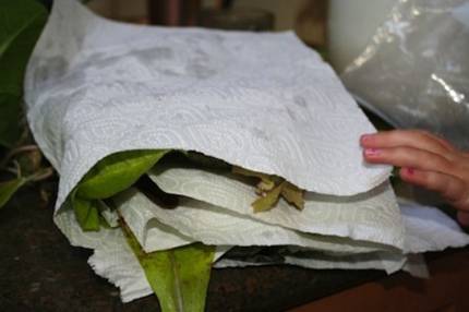 Mẹo bảo quản rau quả đơn giản, hữu ích 9