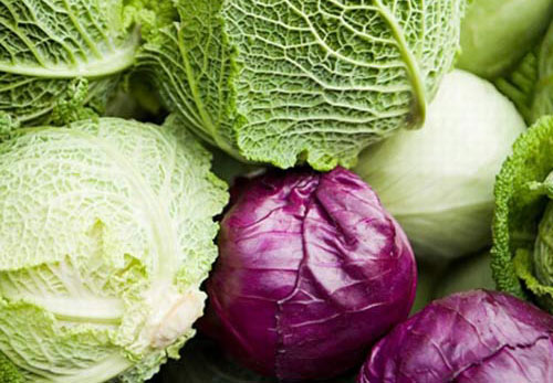 loi-ich-suc-khoe-tu-bap-cai