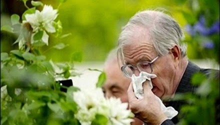 Bệnh viêm mũi dị ứng