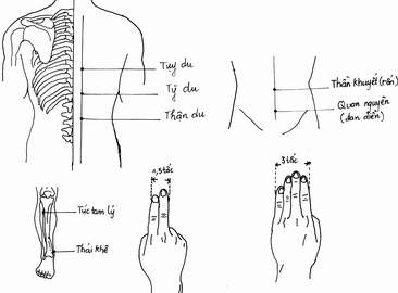 Xoa bóp hỗ trợ điều trị bệnh đái tháo đường