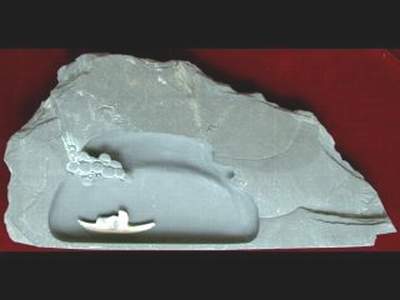 Chữa bệnh bằng mực Tàu