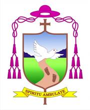 'Hãy bước theo Thần khí'