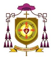 “Tình yêu Đức Kitô thúc bách tôi”