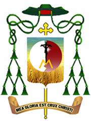 “Vinh quang của tôi là Thánh Giá Đức Kitô”